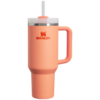 Car-Cup Friendly The Quencher H2.0 Flowstate Tumbler D050X - Double-Wall Vacuum Insulated Travel Tumbler with Straw Detail