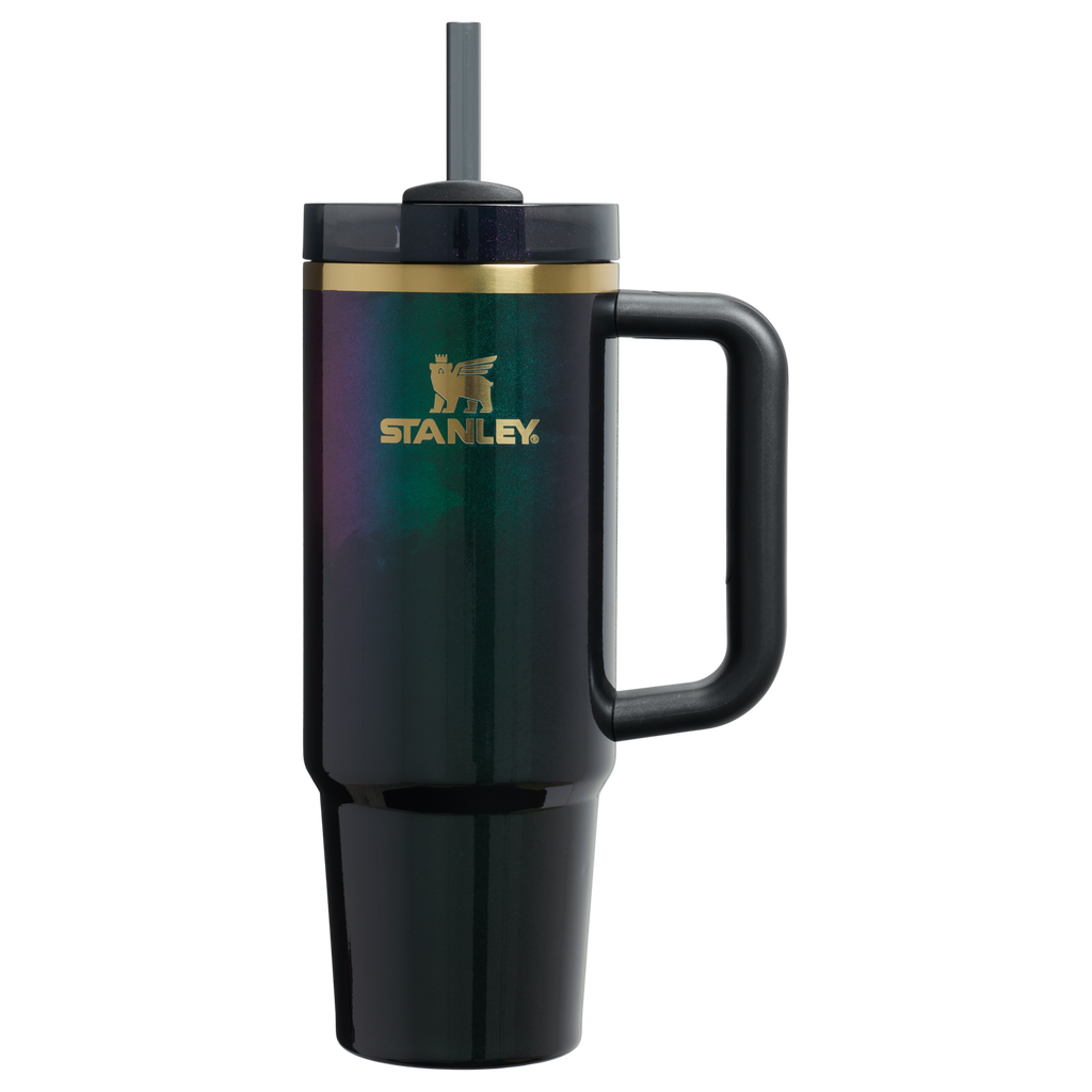 Double-Wall Vacuum The Wicked for Good Quencher H2.0 Flowstate Tumbler D246P - Premium Stainless Steel Straw Cup for All-Day Hydration - Elphaba For Good