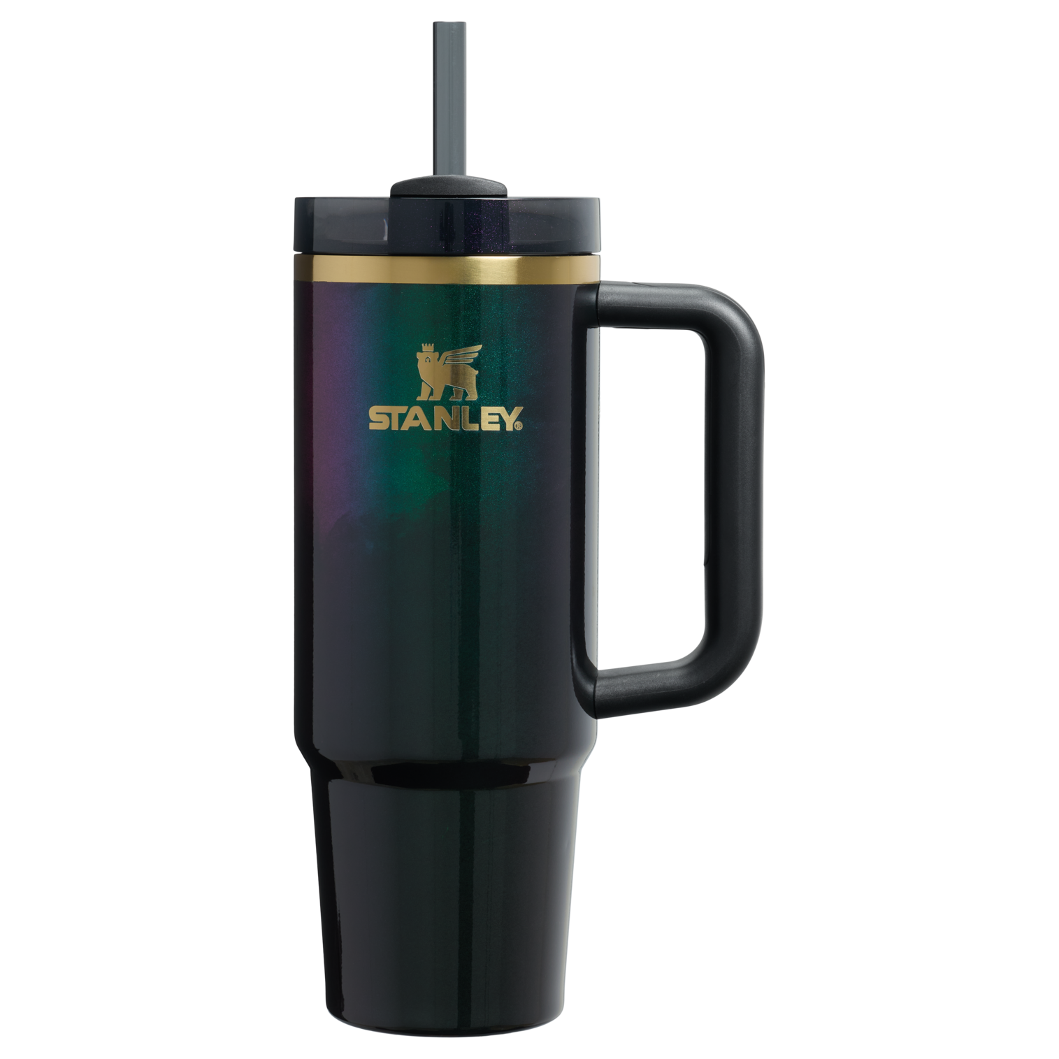Double-Wall Vacuum The Wicked for Good Quencher H2.0 Flowstate Tumbler D246P - Premium Stainless Steel Straw Cup for All-Day Hydration - Elphaba For Good