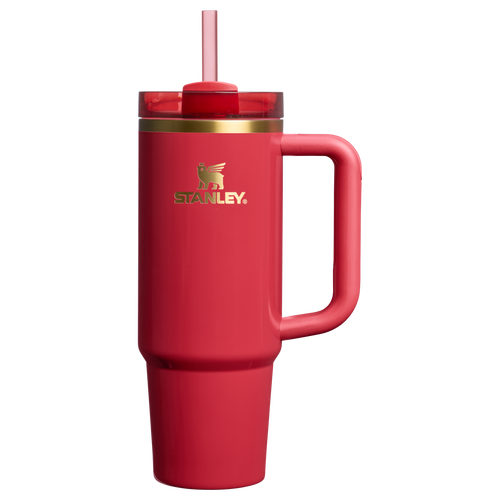 Car-Cup Friendly The Cheers & Cheer Quencher H2.0 Flowstate Tumbler D189S - Premium Stainless Steel Straw Cup for All-Day Hydration - Holly Berry Gloss