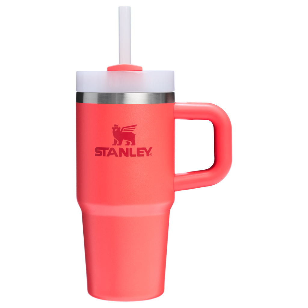 Double-Wall Vacuum The Quencher H2.O Flowstate Tumbler D068Z - Premium Stainless Steel Straw Cup for All-Day Hydration Detail