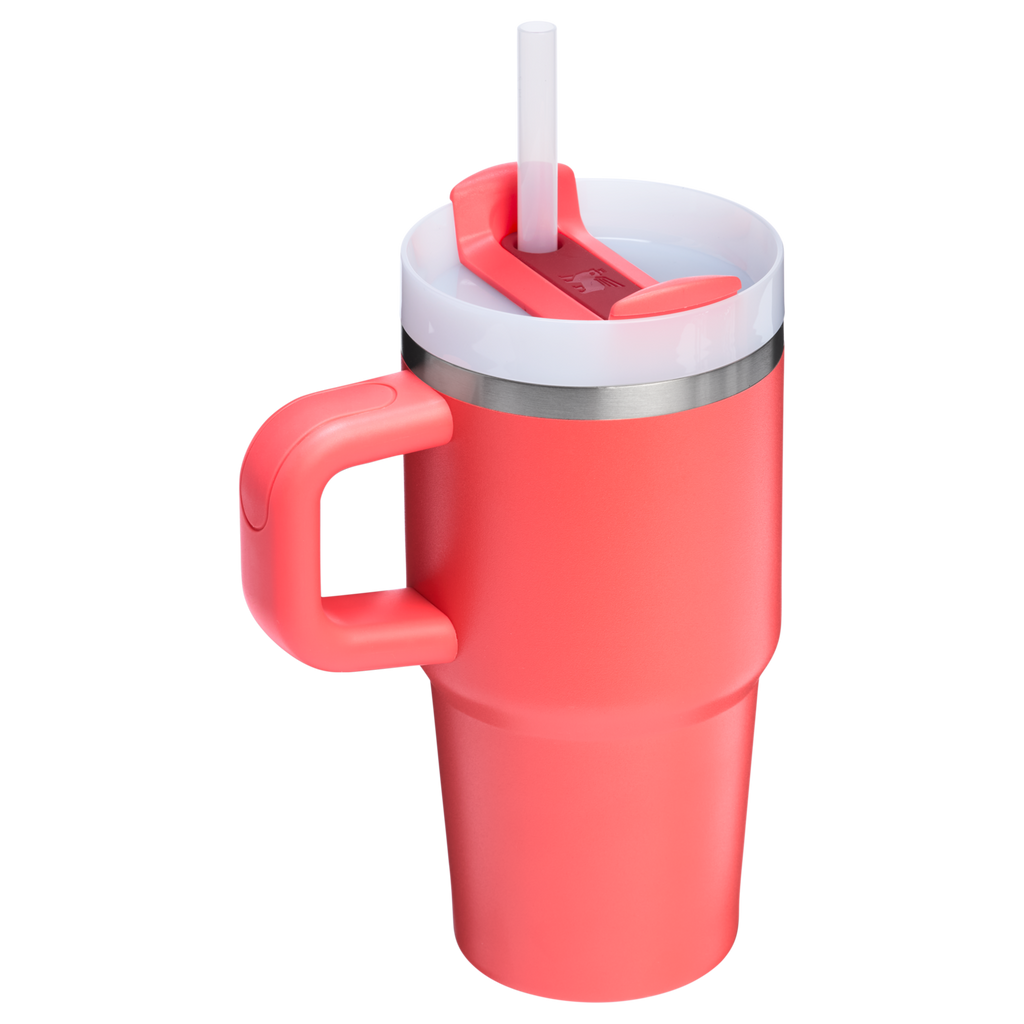 Large Capacity The Quencher H2.O Flowstate Tumbler D251V - Premium Stainless Steel Straw Cup for All-Day Hydration Detail