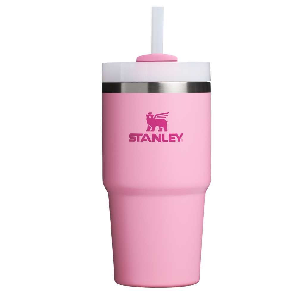Insulated Travel The Quencher H2.0 Flowstate Tumbler D030T - Double-Wall Vacuum Insulated Travel Tumbler with Straw - Ash