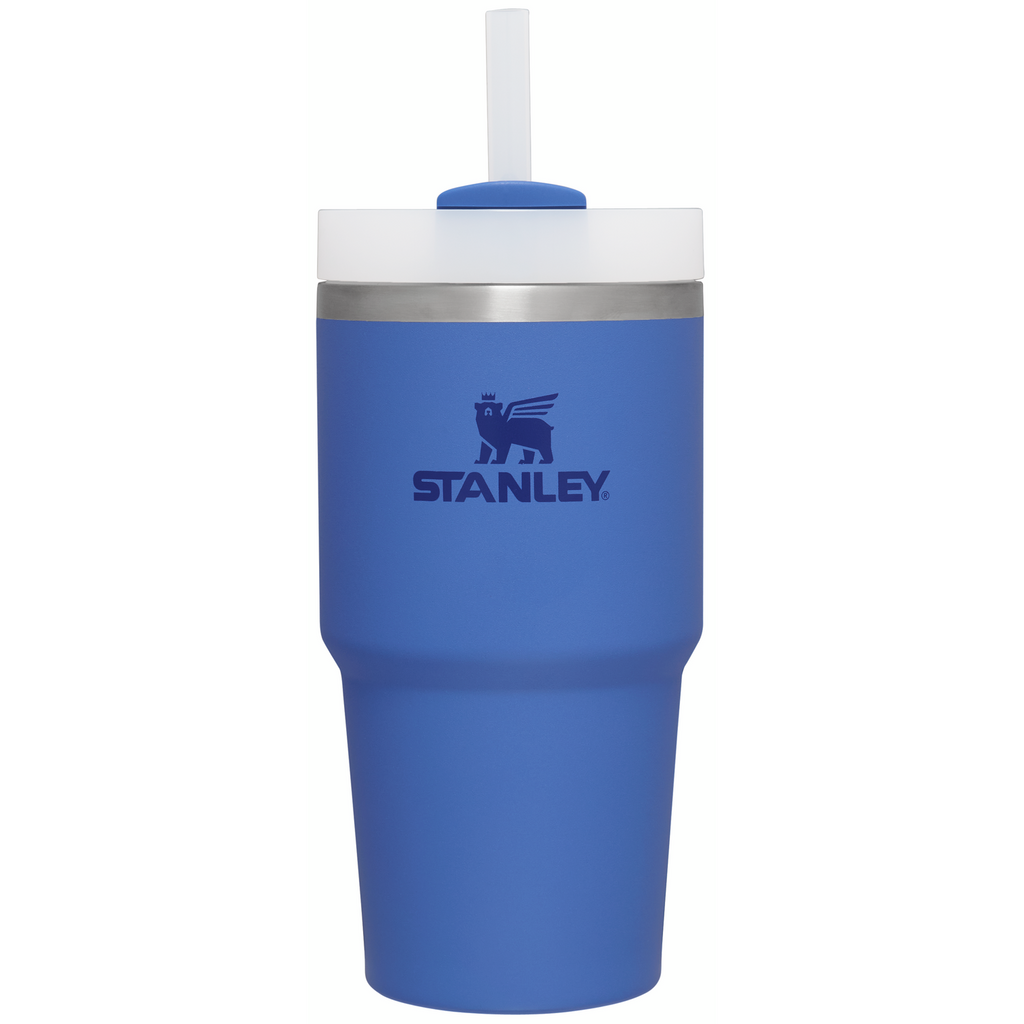 Insulated Travel The Quencher H2.0 Flowstate Tumbler D030T - Double-Wall Vacuum Insulated Travel Tumbler with Straw - Iris